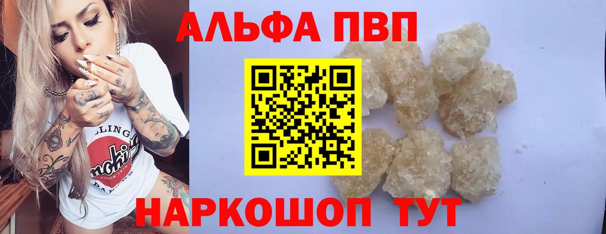 A PVP СК Кириши