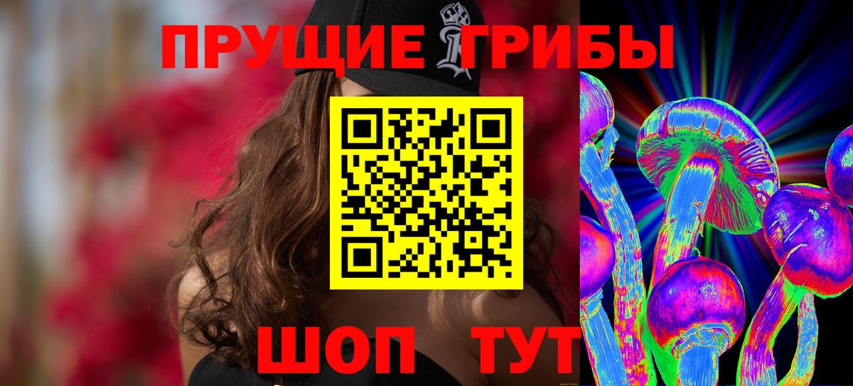 Кириши  Псилоцибиновые грибы Psilocybe  Галлюциногенные грибы мухоморы  Вход с VPN 