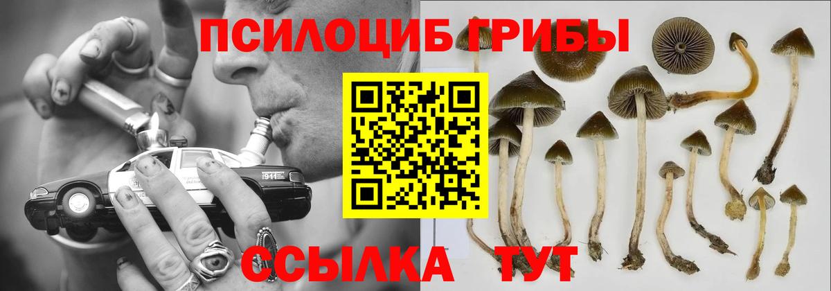 Псилоцибиновые грибы мухоморы Кириши